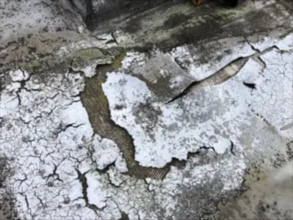 防水層のヒビ